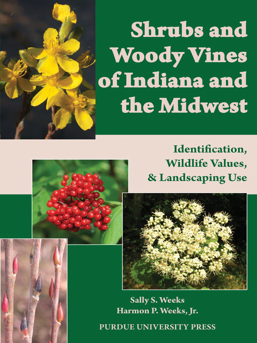 Title details for Shrubs and Woody Vines of Indiana and the Midwest by Sally S. Weeks - Available
